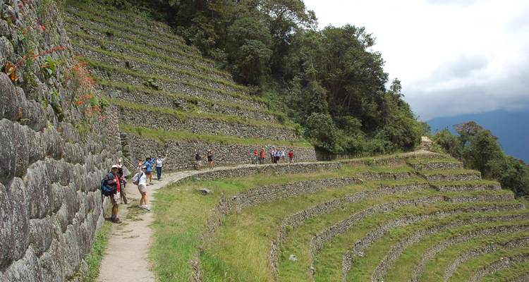 Chemin de l'Inca en 2 jours (Facile) - Valencia Travel Cusco 7