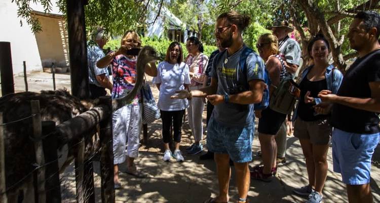 25 días de Kruger y cataratas Victoria a Ciudad del Cabo - alojamiento - Acacia Adventure Holidays 6