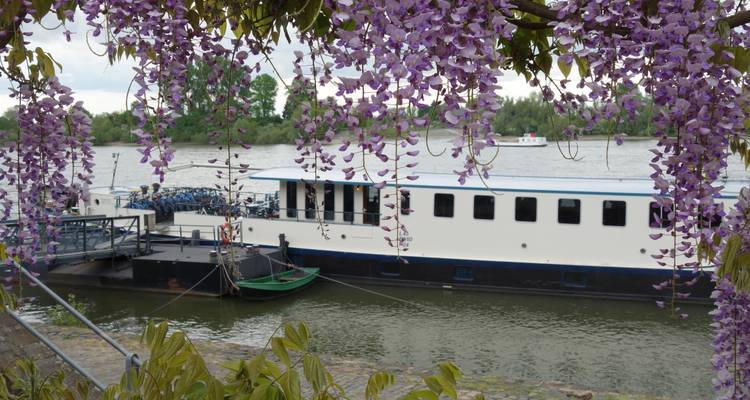Easy Bike and Barge Tour Amsterdam to Koblenz - Bike Planet Tours 9