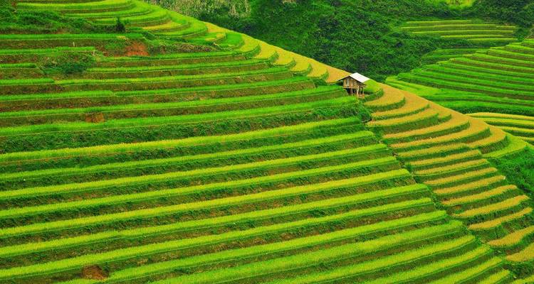Merveilles exclusives du Vietnam - 21 jours - Legend Travel Group 3