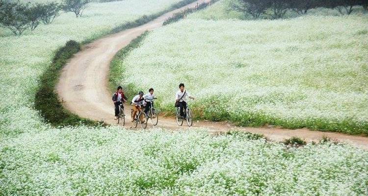 Treasures of Cambodia and Vietnam by Mekong 21-Day - Legend Travel Group 3