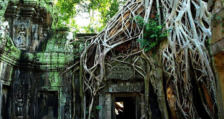 Ruinas entrelazadas con antiguas raíces de árboles.