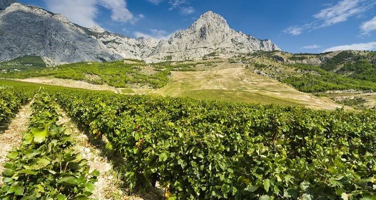 Gastro Sailing tour Croatia (Private tour) - Frontier Adriatic 3