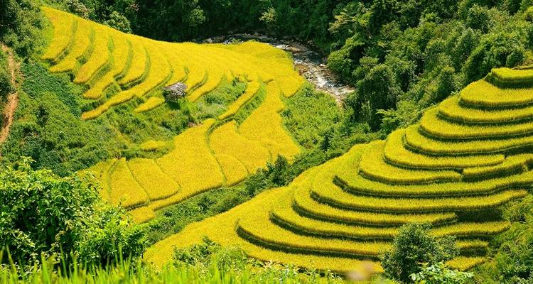 Fantastique Vietnam plus l'île de Phu Quoc - 20 jours - Legend Travel Group 9