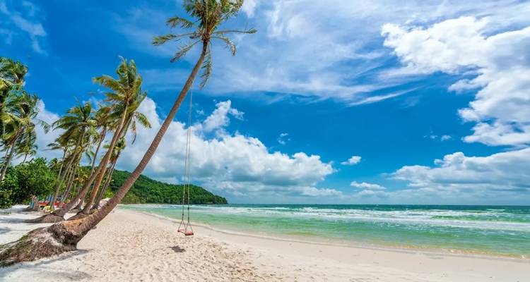 Plage de sable blanc tropical avec palmiers penchés, balançoire et mer turquoise sous un ciel dégagé