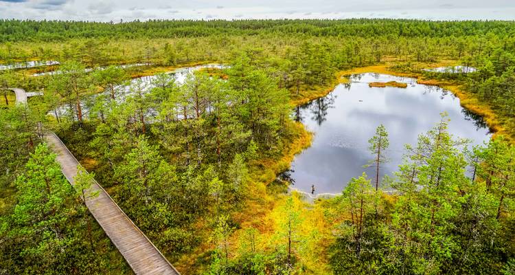 Las mejores impresiones del Báltico en 11 días (Salida garantizada) - Baltic Tours 8