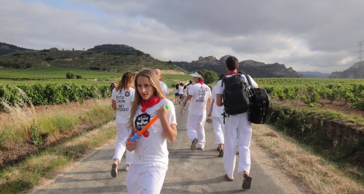 Festival participants walking along a path, wearing themed clothing.