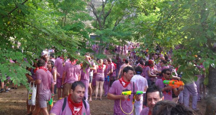 People in colorful outfits enjoying a large outdoor festival.