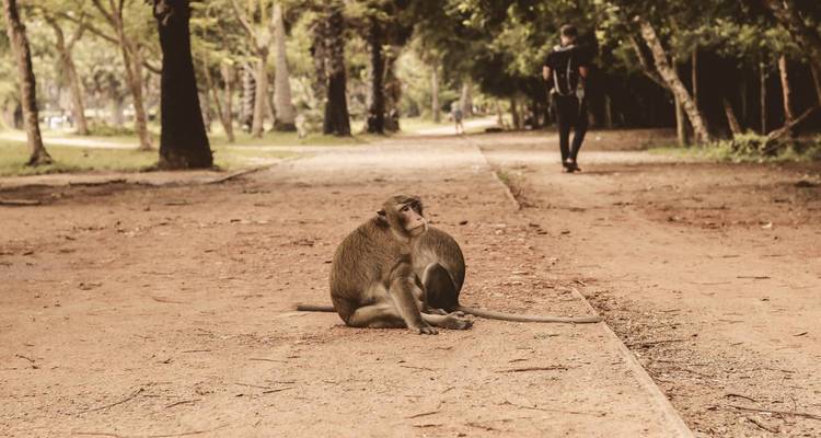 Aventure dans le delta du Mékong : De Siem Reap à Hanoi - 12 jours - Legend Travel Group 1