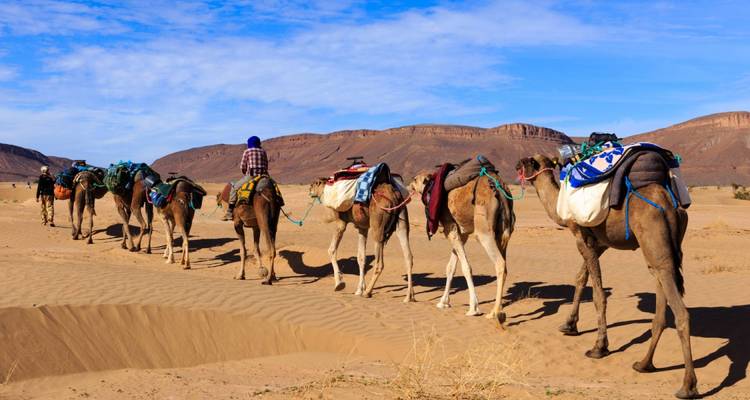 Lo mejor de Marruecos - 13 días - On The Go Tours 3