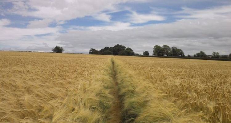 Circuito a pie por los Cotswolds - Caspin Journeys 6