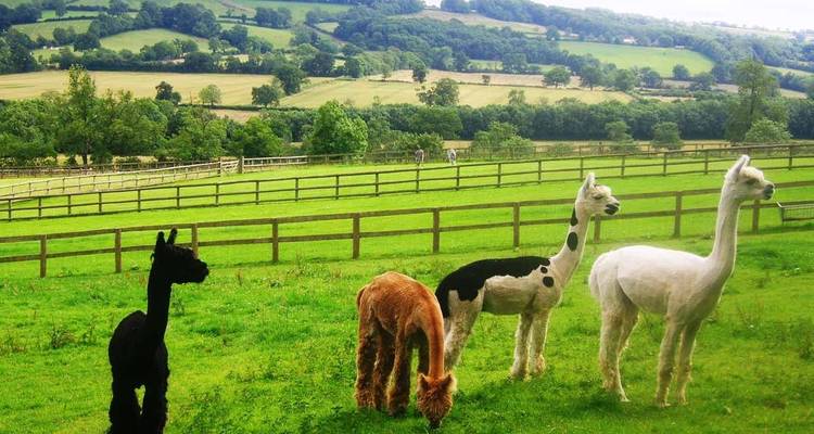 Circuito a pie por los Cotswolds - Caspin Journeys 10