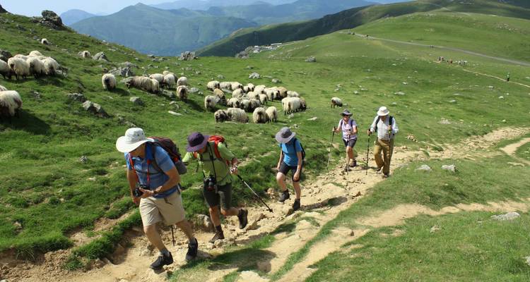 Camino de Santiago - Caspin Journeys 1