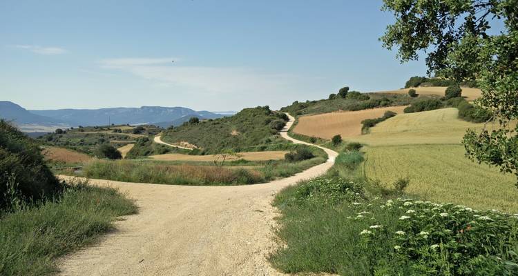 Camino de Santiago - Caspin Journeys 3