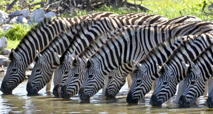 Kenya & Tanzania Trails - 13 days - On The Go Tours 6