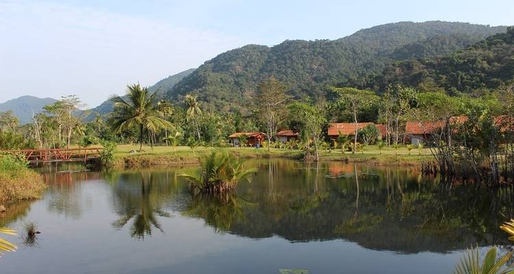 Amazon Riverboat Adventure In Depth - G Adventures 7