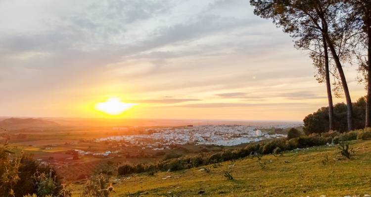 Sonnenuntergang über einer weißen andalusischen Stadt, beobachtet von einem grasbewachsenen Hügel mit hohen Kiefern.