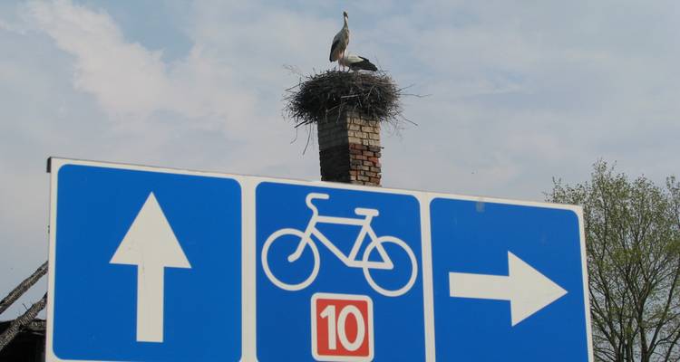 En bicicleta por la costa lituana - desde Klaipeda - Baltic Bike Travel UAB 10