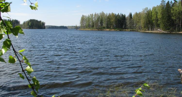 Baltic Bike Tour: Tallinn to Vilnius (self-guided supported) - Baltic Bike Travel UAB 10