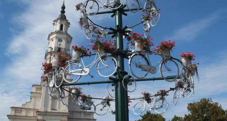 Báltico en bicicleta: de Vilna a Tallin - autoguiado con apoyo - Baltic Bike Travel UAB 8