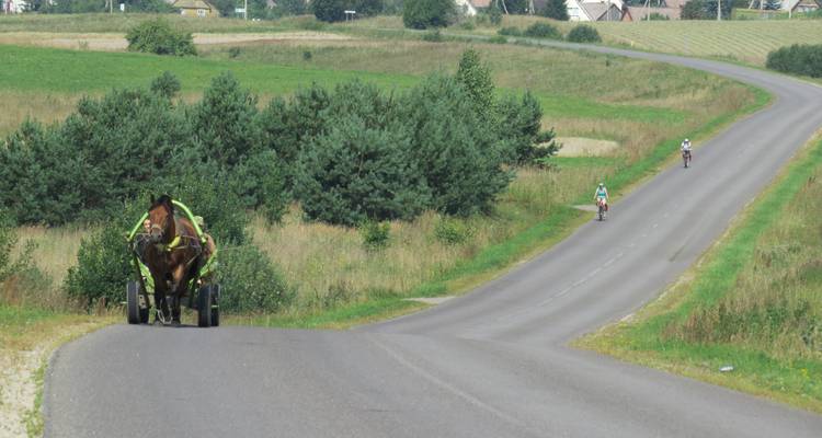 Báltico en bicicleta: de Vilna a Tallin - autoguiado con apoyo - Baltic Bike Travel UAB 7