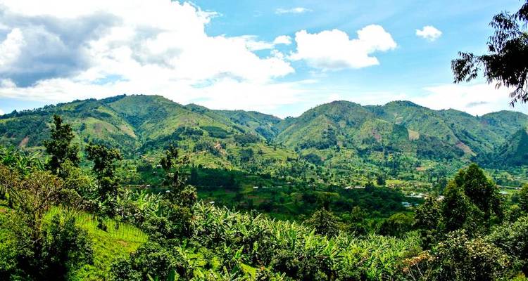 Uganda Gorilla Safari Air-Expedition 4D/3N - Bamba Travel 1