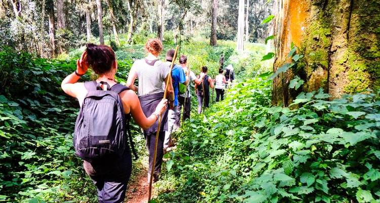 Uganda Gorilla Safari Air-Expedition 4D/3N - Bamba Travel 6