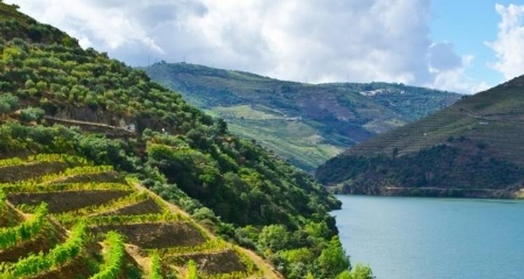 Le fleuve Douro, l'esprit du Portugal - CroisiEurope River Cruises 9
