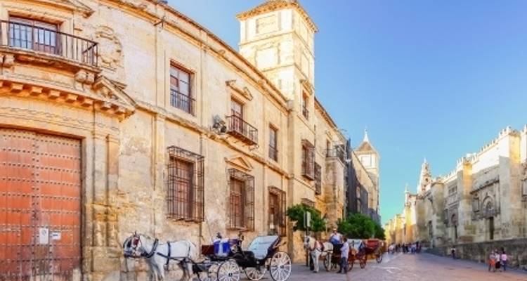 Navidad andaluza - CroisiEurope River Cruises 7