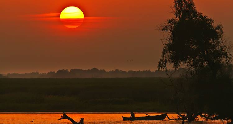 Experiencia de safari privado de cuatro días al Delta del Danubio desde Bucarest - Rolandia 3