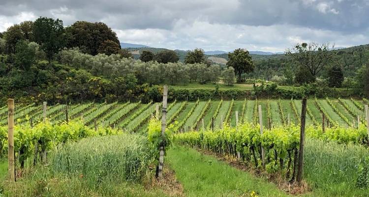 Circuit de luxe à vélo des collines de Toscane et de la mer - Road Bike Tours Italy 10