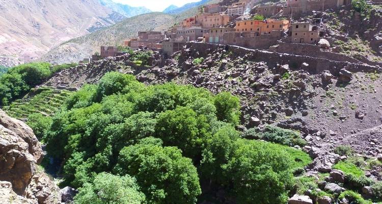 Excursion d'une journée dans les montagnes de l'Atlas et à dos de chameau - Trek in Morocco 9