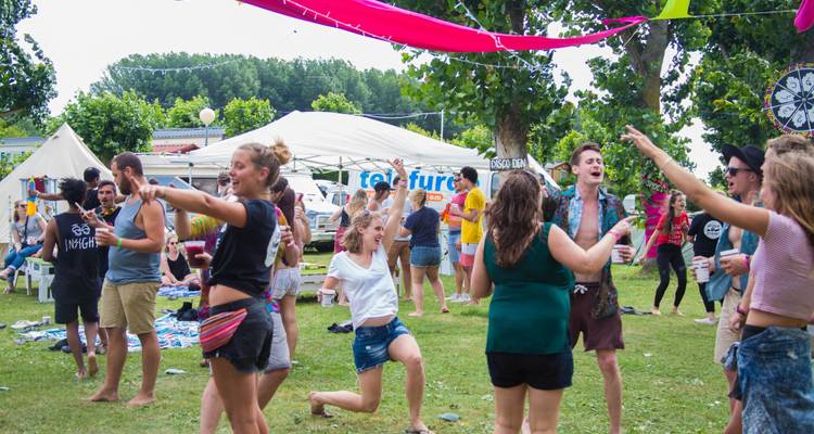 Des gens qui dansent et s'amusent dans un cadre de festival.