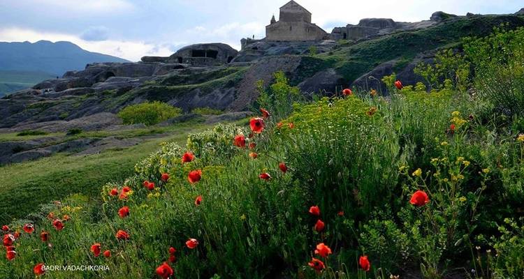 7 días Visita Georgia - Georgian Holidays LLC 1