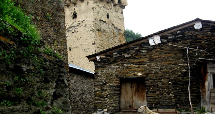 Excursión rural en grupo pequeño de 4 días Samegrelo - Zemo Svaneti - Georgian Holidays LLC 6