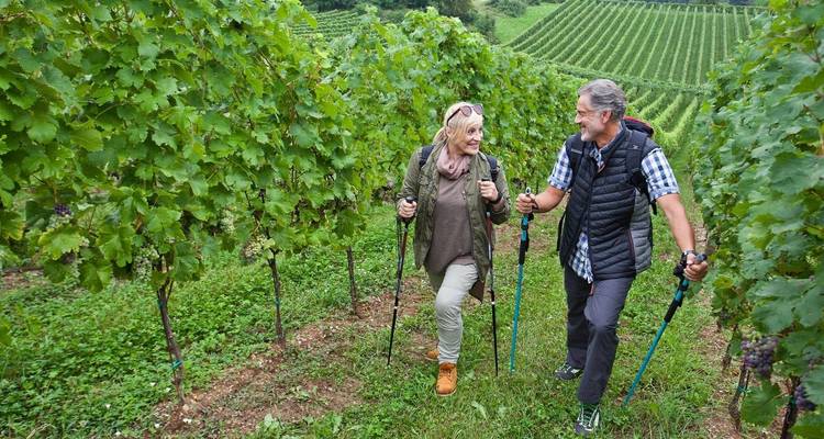 Slovenia, Hiking & Gourmet Holiday - 8 days 7 nights - Nature Trips 8