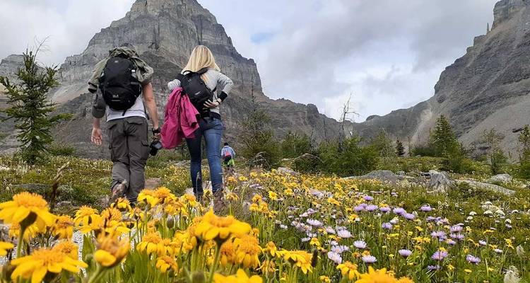 Aventure en camping dans les Rocheuses - 7 jours - Fresh Adventures 7