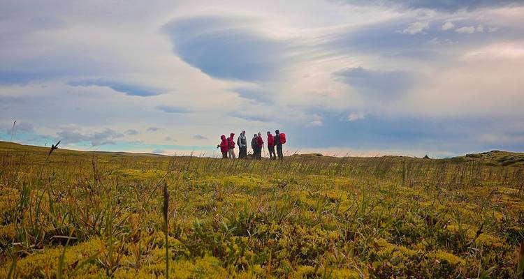 Un pequeño grupo de trekkers con chaquetas rojas de pie en una amplia llanura cubierta de musgo bajo un cielo colorido