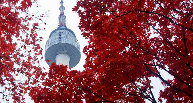 Tour Namsan de Séoul encadrée par des feuilles rouges éclatantes.