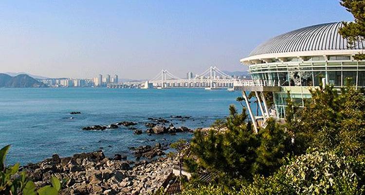 Les points forts de la Corée du Sud 7J/6N - Bamba Travel 6