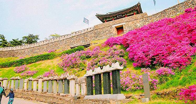 Les points forts de la Corée du Sud 7J/6N - Bamba Travel 10