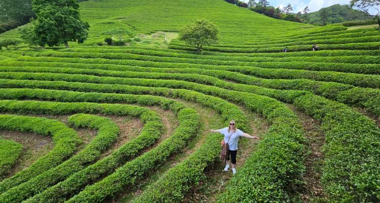 Persona parada en un exuberante campo de té verde.