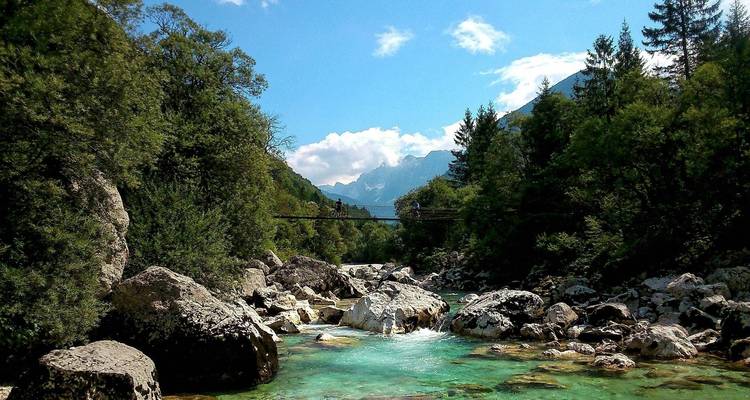 River with clear water running through a forested area