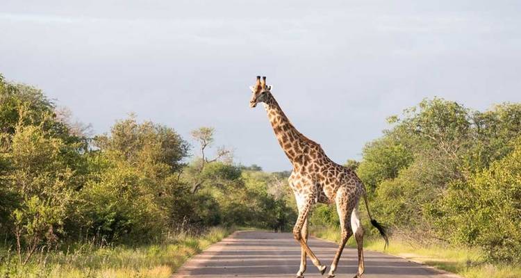 Aventure en Afrique australe - Intrepid Travel 8