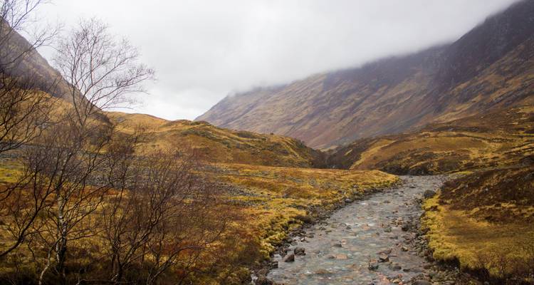 Jacobite Steam Train & The Great Glen - Highland Experience Tours 3