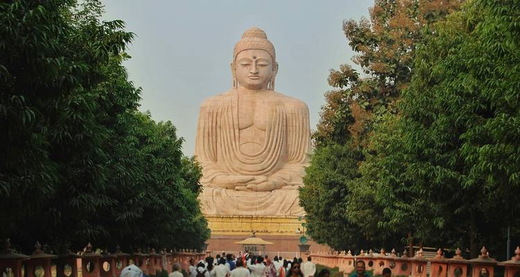 La statue géante de Bouddha assis à Bodhgaya encadrée par des arbres luxuriants et des pèlerins.