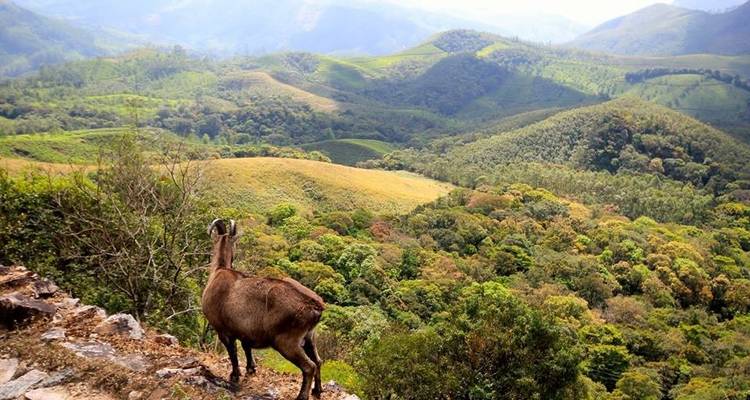 God's Own Country Kerala - Yolo India Tours 8
