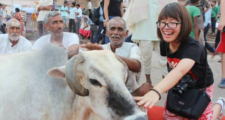 Perles du Rajasthan - Yolo India Tours 4