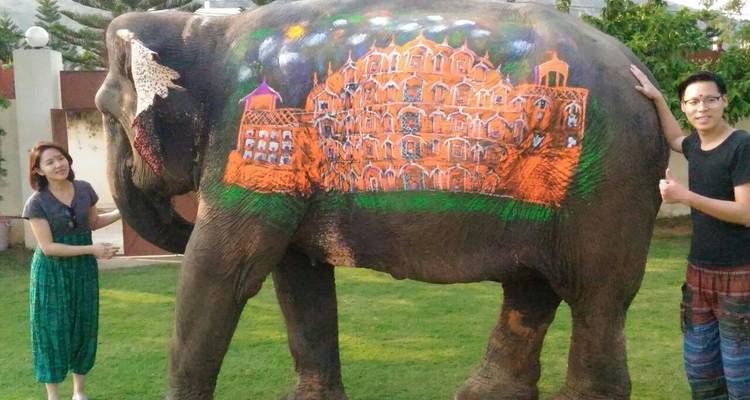 Perles du Rajasthan - Yolo India Tours 7