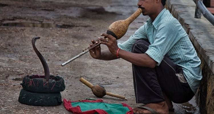 Perles du Rajasthan - Yolo India Tours 1